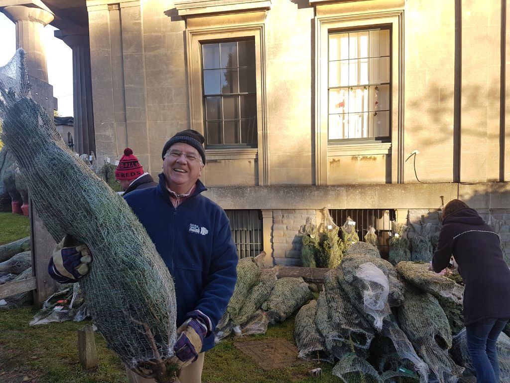 Volunteer holding a Christmas Tree