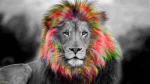 Colourful Lion's mane