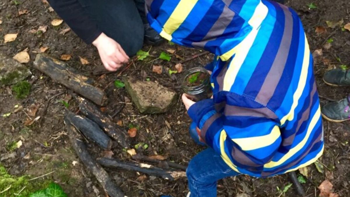 Big Bug Hunt at Arnos Vale Cemetery