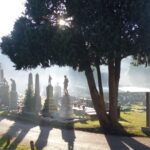 Winter at Arnos Vale