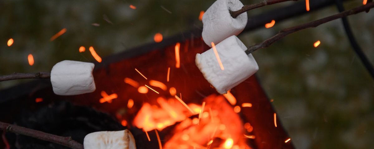 Toasting marshmallows over an open fire at firelighting skills workshop at Arnos Vale Cemetery Bristol