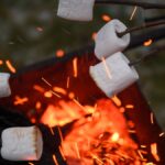 Toasting marshmallows over an open fire at firelighting skills workshop at Arnos Vale Cemetery Bristol