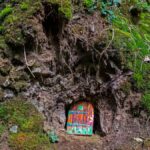 A fairy door sits on top of a tree stump in the woods. Make a fairy door at Arnos Vale Cemetery