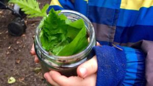 Wonderful worms activity at Arnos Vale Cemetery. Child holding a jar filled with leaves