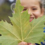 Lovely leaf workshop