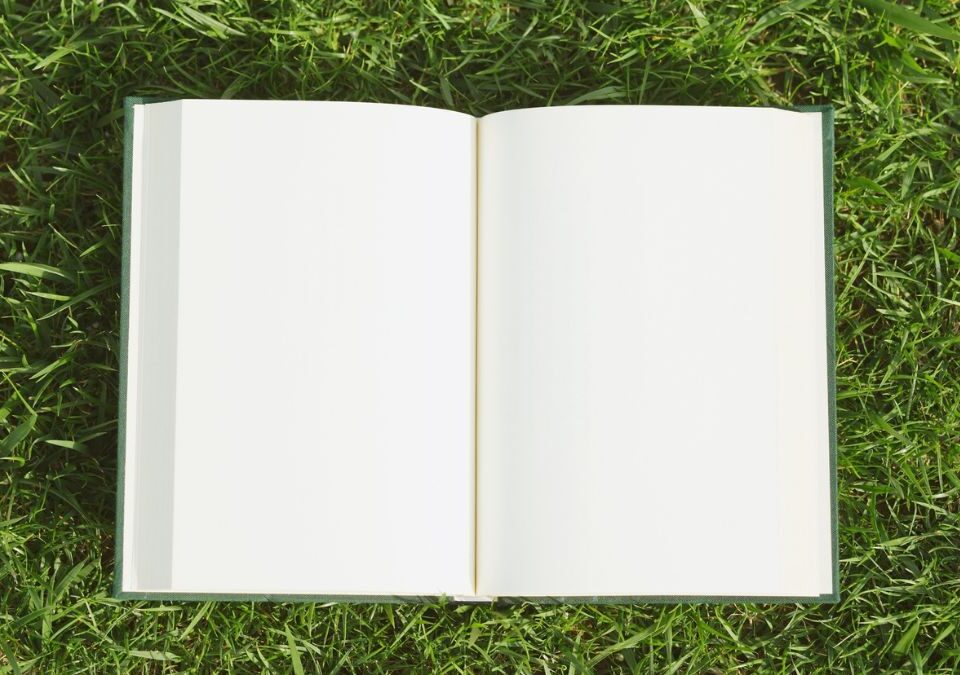 An open notepad on grass