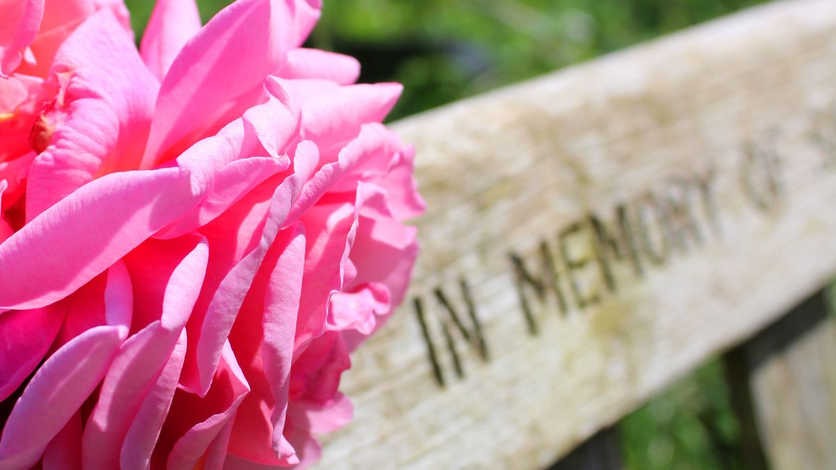 Memorial Bench at Arnos Vale Cemetery