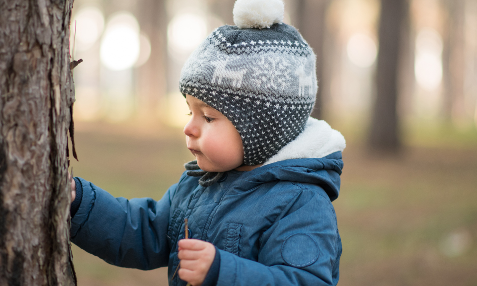 Lil'Tree Outdoor Sessions for Babies and Toddlers