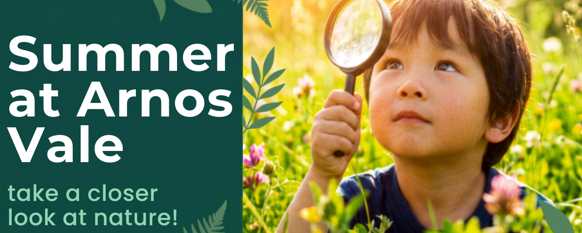 Summer at Arnos Vale