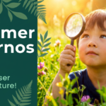 Summer at Arnos Vale