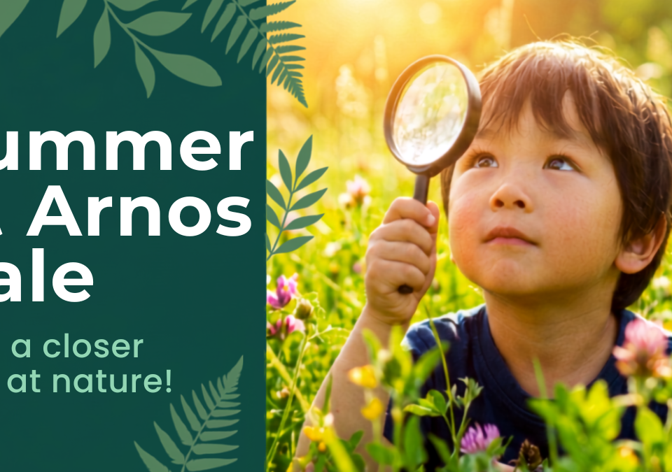Summer at Arnos Vale
