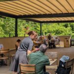 Outdoor Cafe Terrace at Arnos Vale