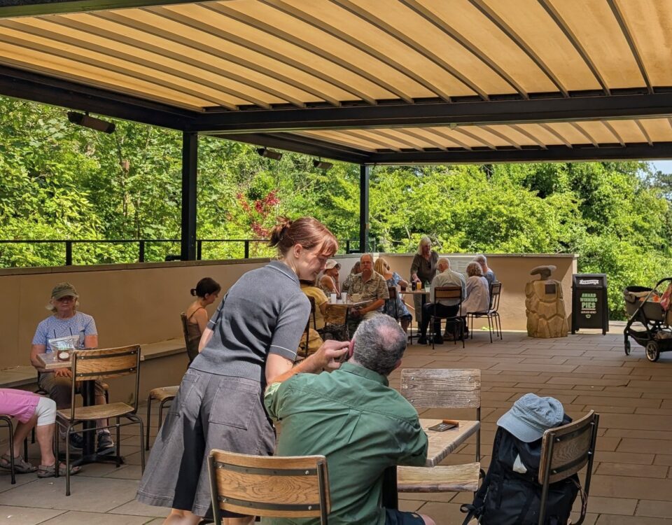 Outdoor Cafe Terrace at Arnos Vale